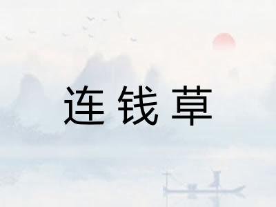 连钱草