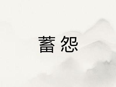 蓄怨