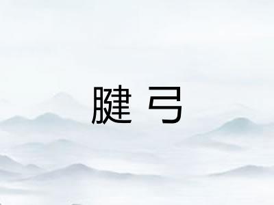 腱弓