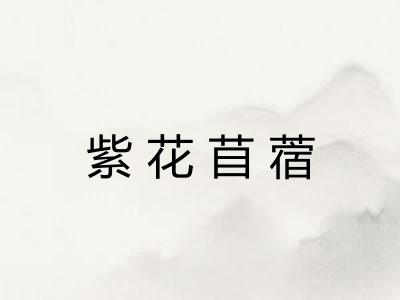 紫花苜蓿