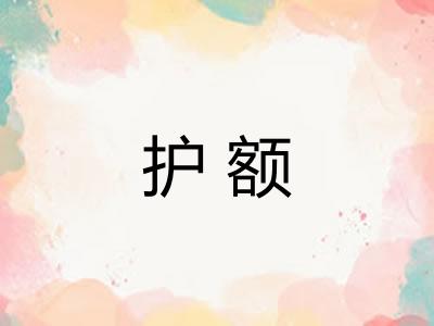 护额