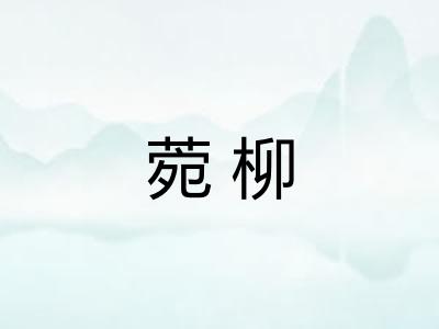 菀柳