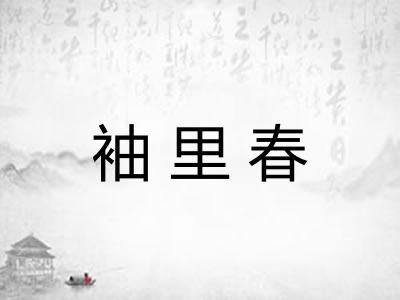 袖里春