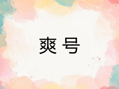 爽号