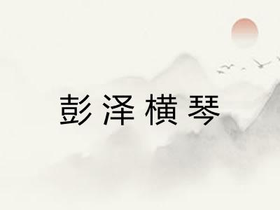 彭泽横琴