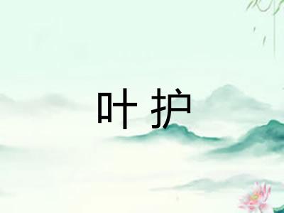 叶护