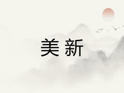 美新