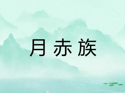 月赤族