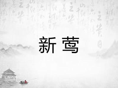 新莺
