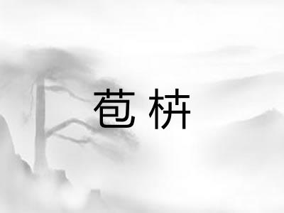 苞枿