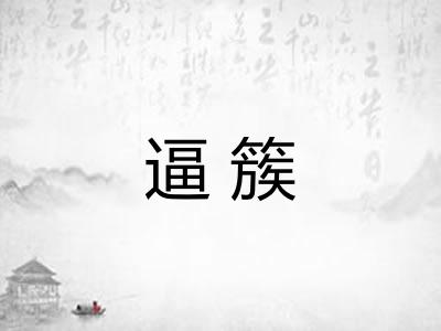 逼簇