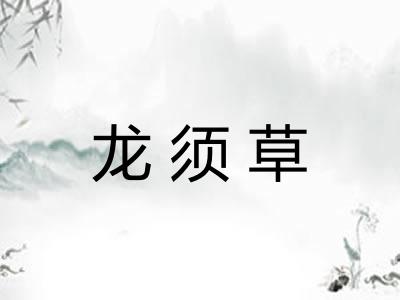 龙须草
