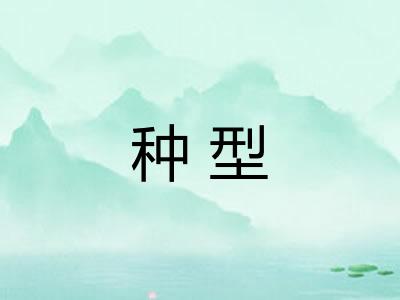 种型