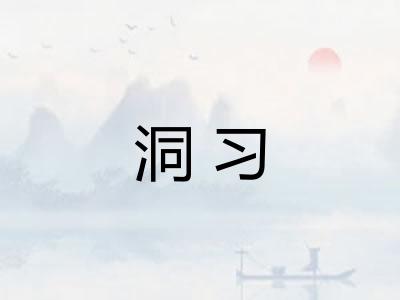 洞习