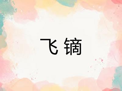 飞镝