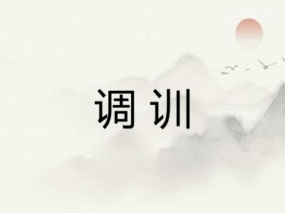 调训