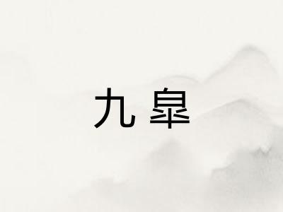九皐