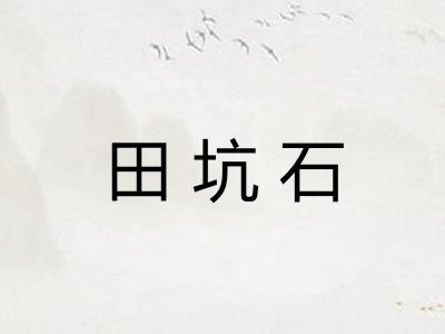 田坑石