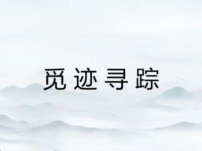 觅迹寻踪