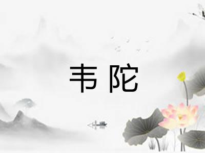 韦陀