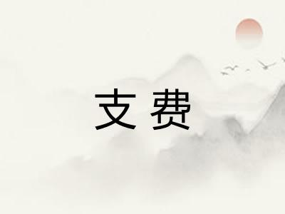 支费