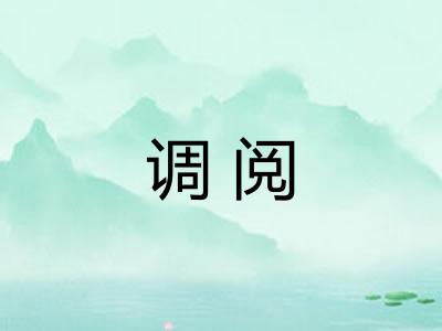 调阅