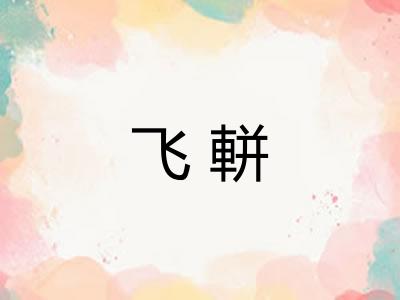 飞軿
