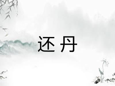 还丹