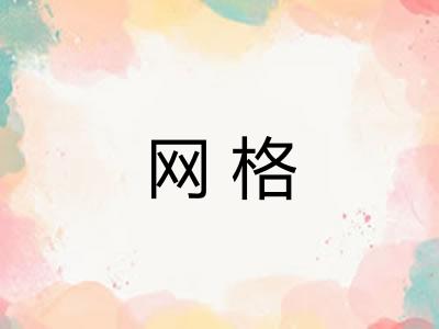 网格