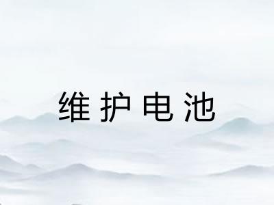 维护电池