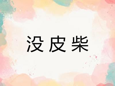 没皮柴