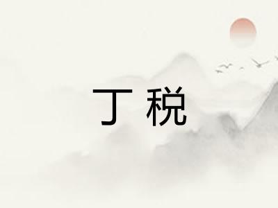 丁税