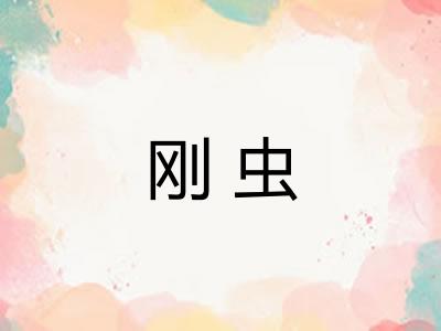 刚虫