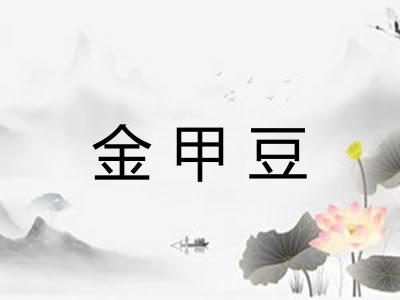 金甲豆
