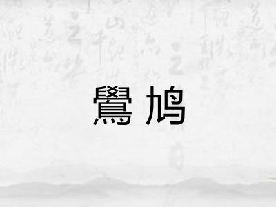 鷽鸠